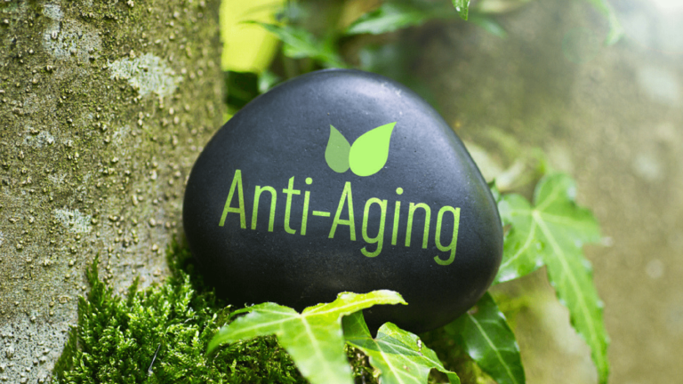 Savaitgalio „ANTI AGE” stovykla Molėtuose 06.26-27-28